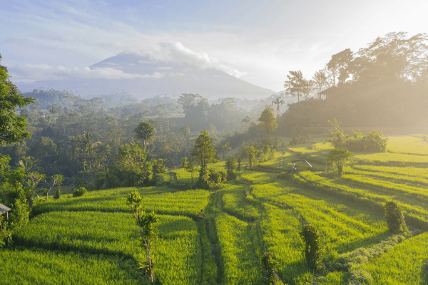 bali weather