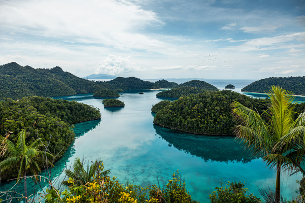 Raja Ampat Islands Indonesia