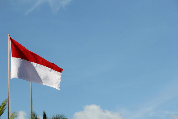 Local Government in Bali