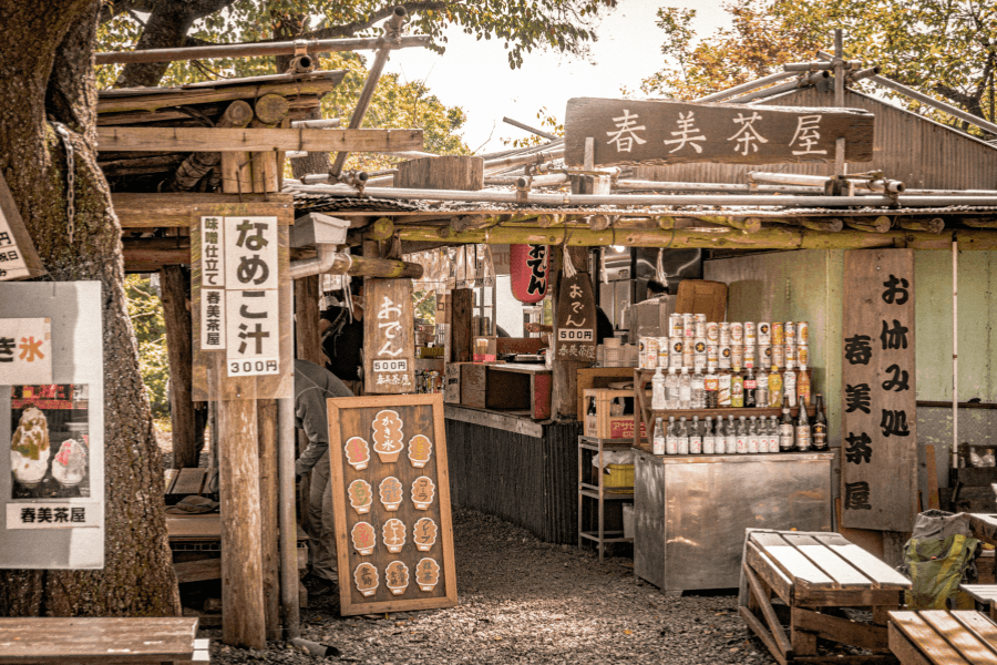 day trips from Tokyo