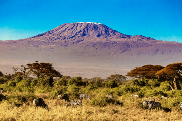 trekking in kilimanjaro