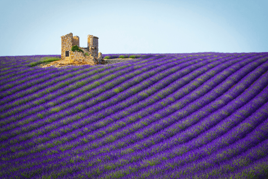 where to stay in Provence