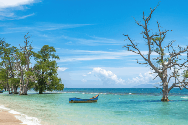 things to do in Sumatra