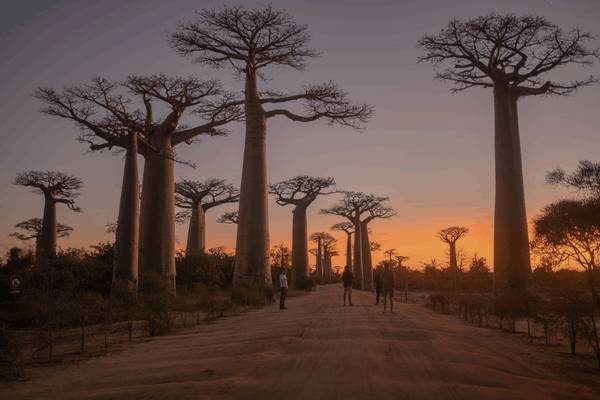 things to do in madagascar