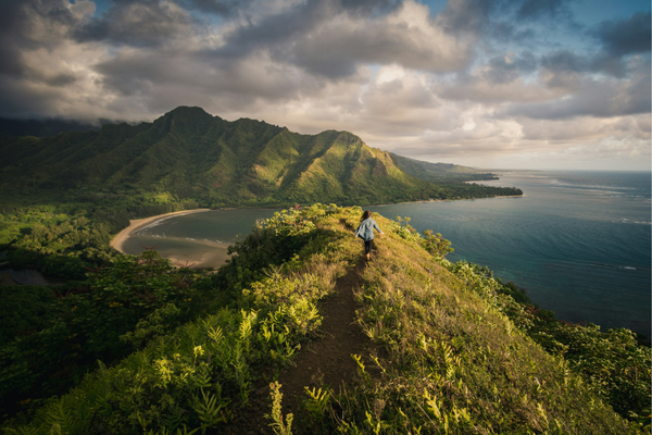what to do in island of hawaii