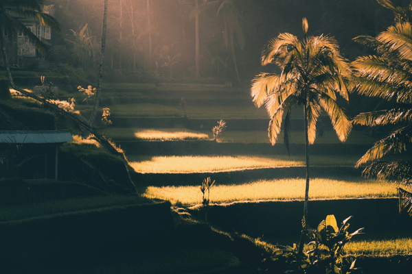 bali local experience