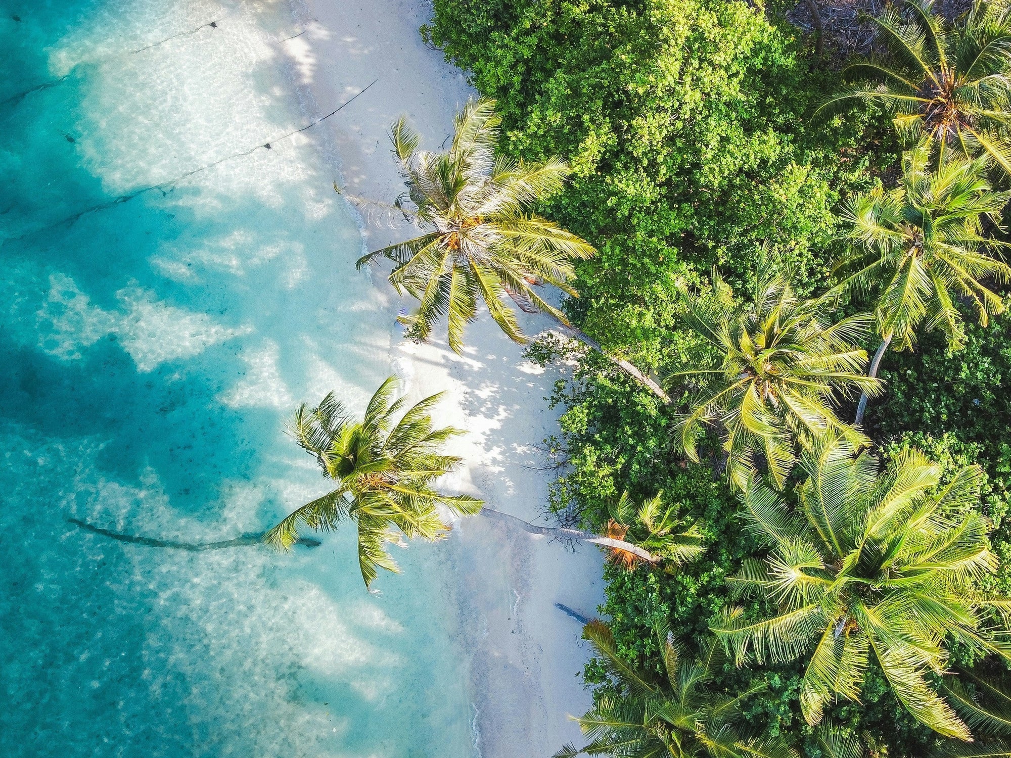 best time to visit maldives