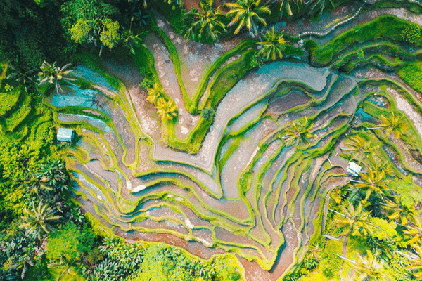 Ubud Bali