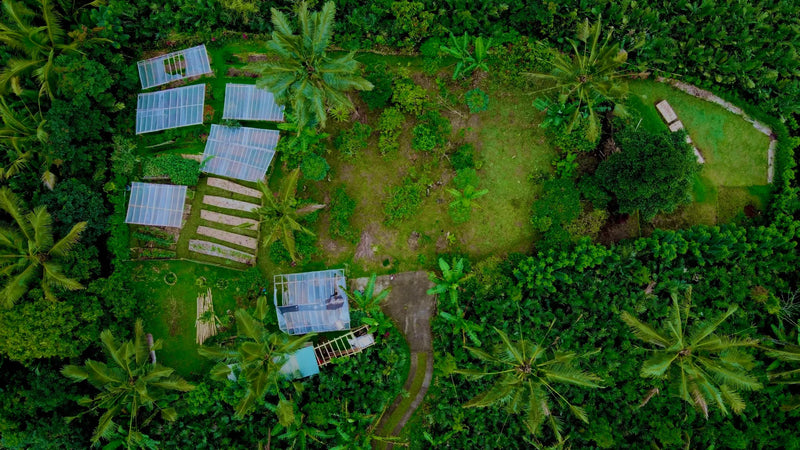 Bali Regenerative Farmstead