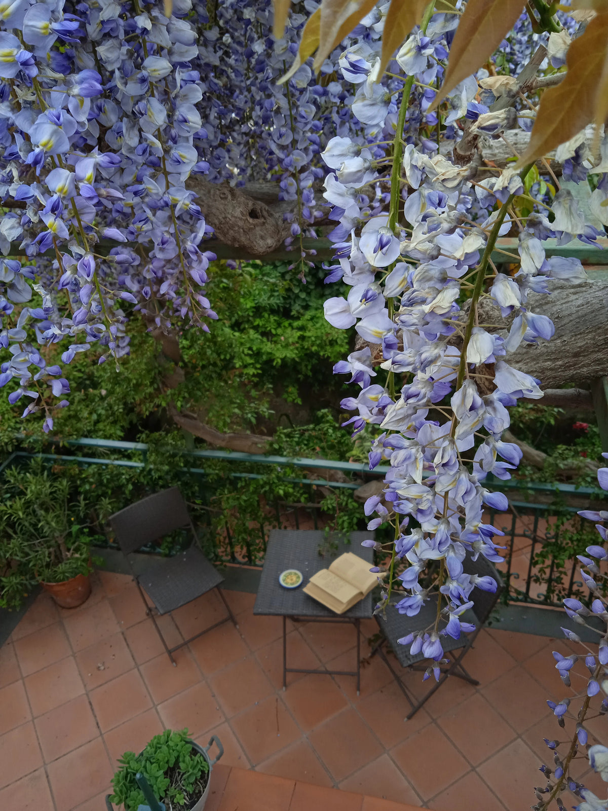 Casa Velardi Sustainable Stay 8
