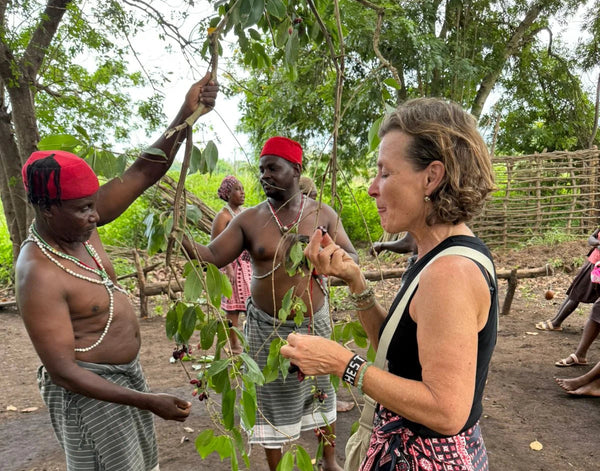 Steri Tours and Travel