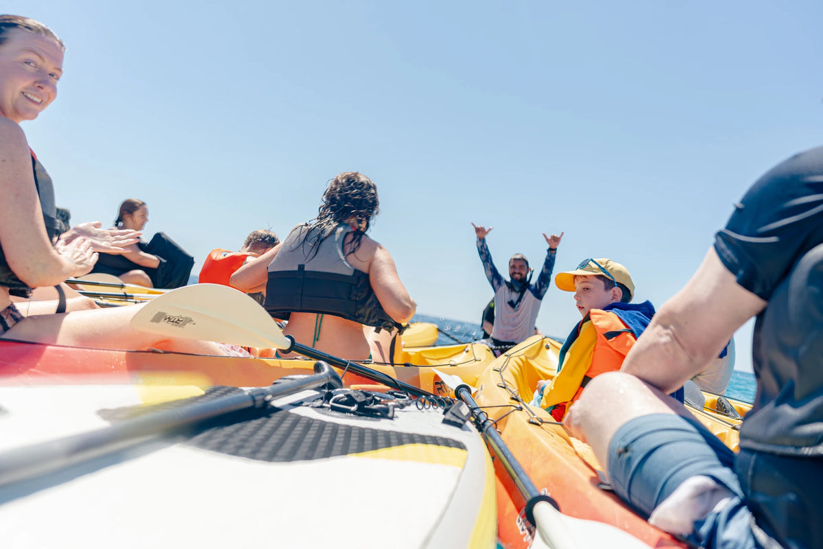 Eco Island Adventure Conscious Experience 