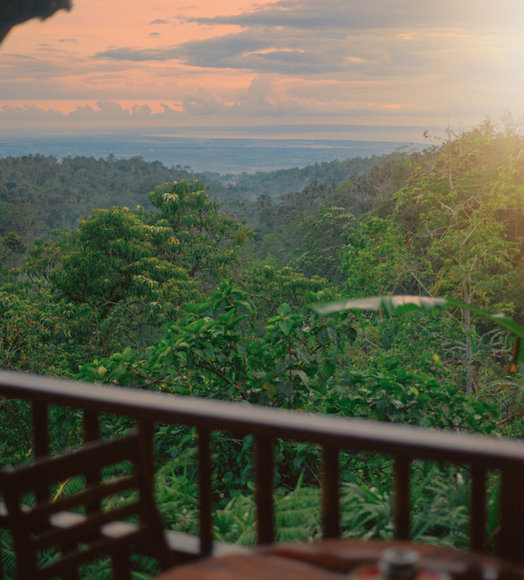 View of a lush green forest from a wooden deck during sunset.
