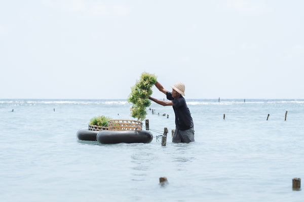 Ecotourism_Nusa_Penida_10