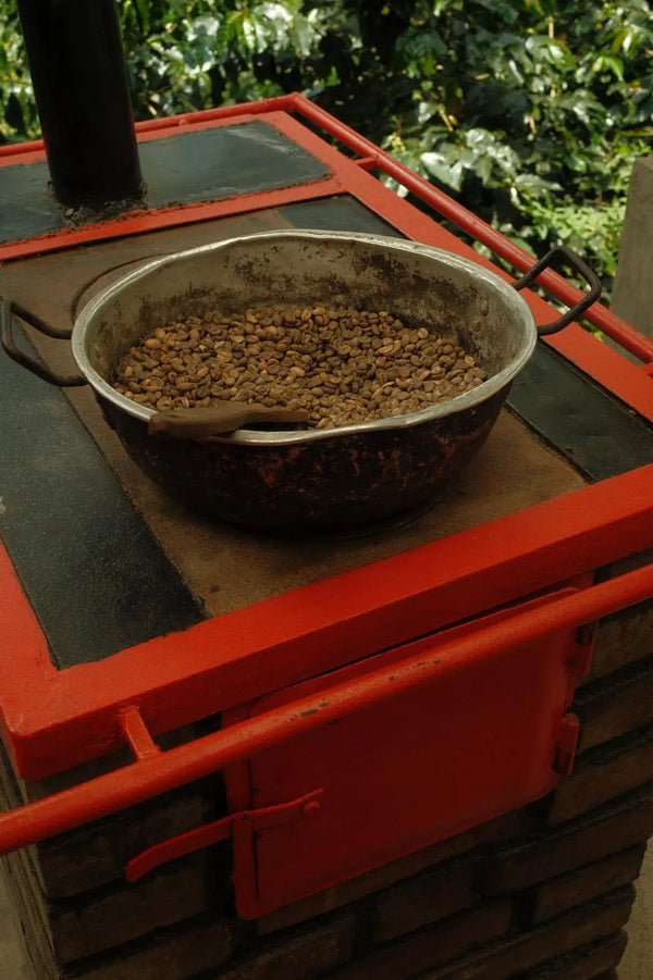 Finca Cafetera Don Elias Sustainable Experience