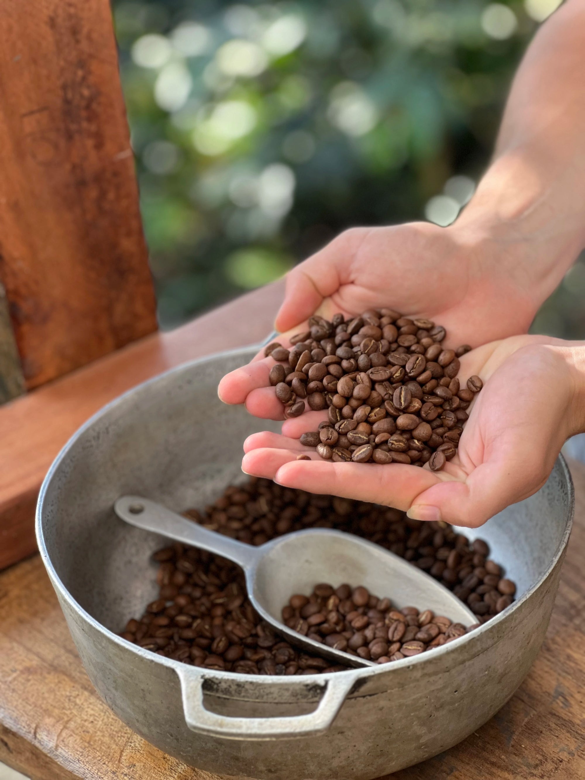 Finca Cafetera Don Elias Sustainable Experience 7