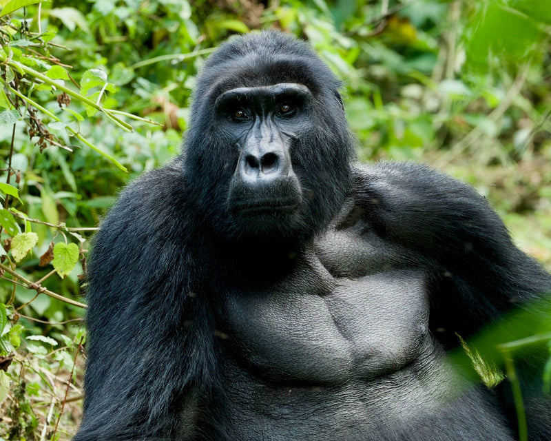 Maromi Safaris Conscious Tour 1
