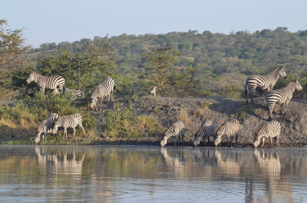 Maromi Safaris Conscious Tour 3
