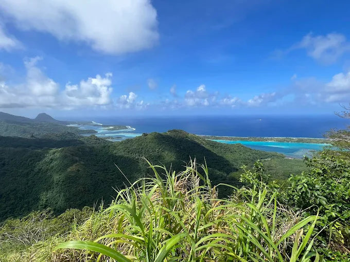 Pension Te Ra'i Nui Conscious Accommodation 1
