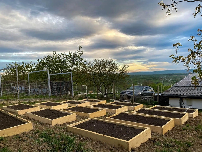 Sustainable Tourism Accomodation JazzFarm 