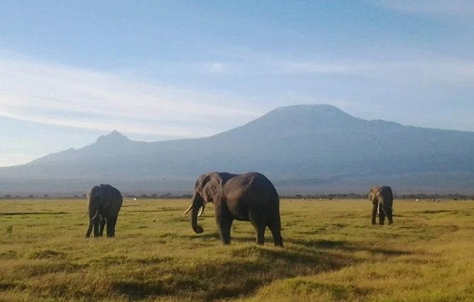 Sustainable Tourism Experience Oluokos Signature 1