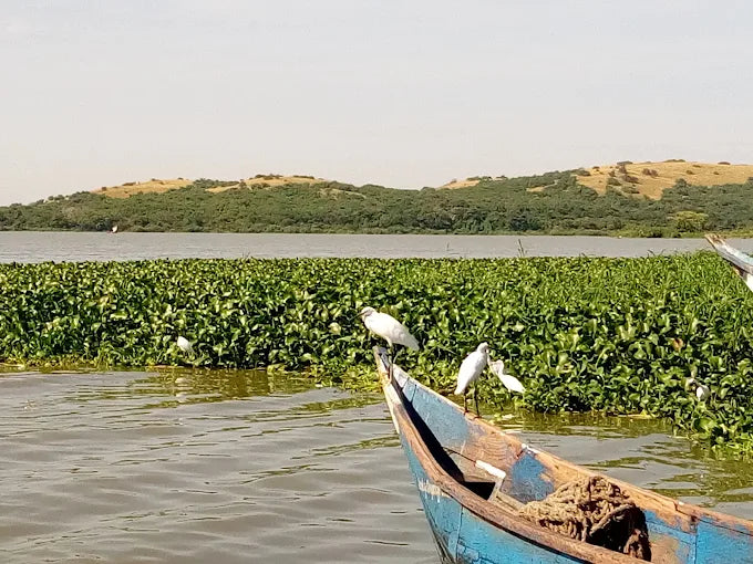Sustainable Tourism Experience Oluokos Signature 3