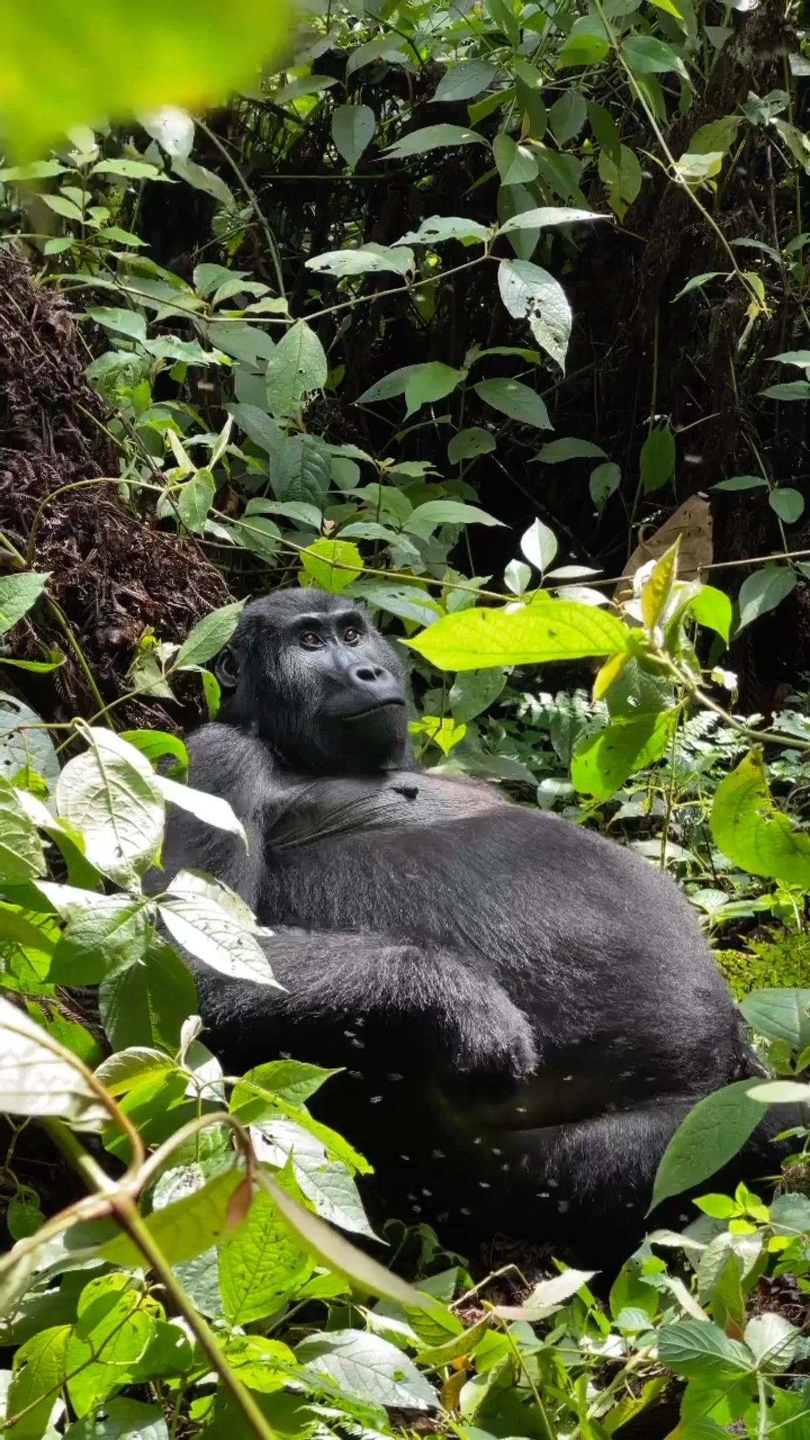 Sustainable Tourism Experience Verdoro Safari 3