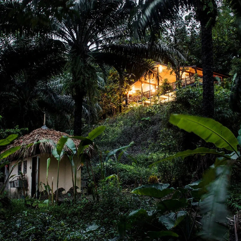 Sustainable Travel Accommodation EcoLogic 1