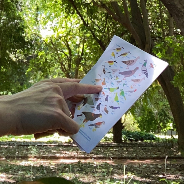 Wander the Botanical Garden Sustainable Experience 4
