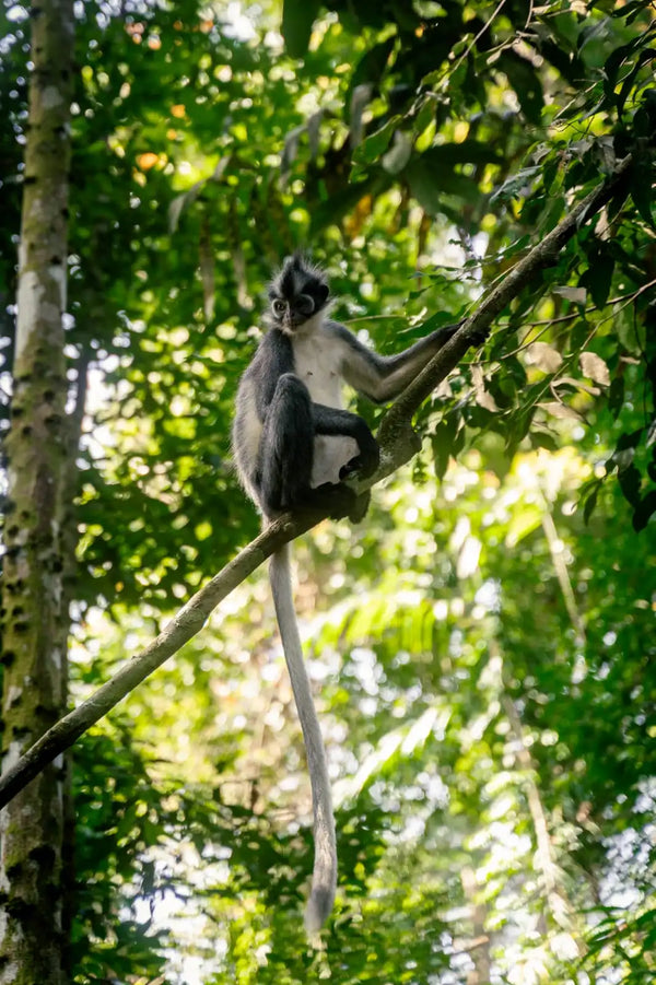 Wild Nature Trips Conscious Experience 1