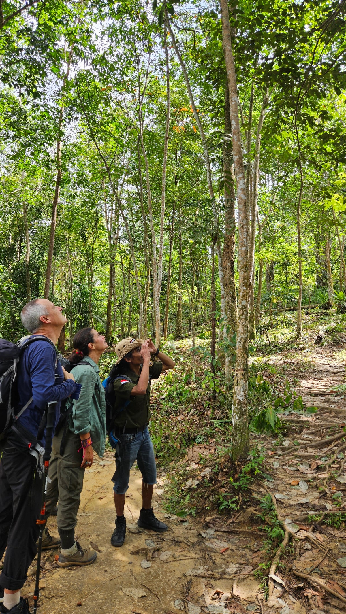 Wild Nature Trips Conscious Experience 6