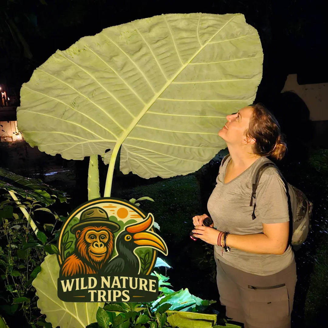 Wild Nature Trips Conscious Experience 7