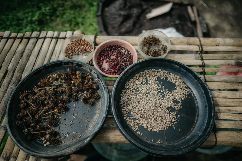 Bali Regenerative Farmstead
