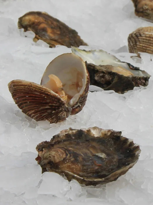 seafood in galicia